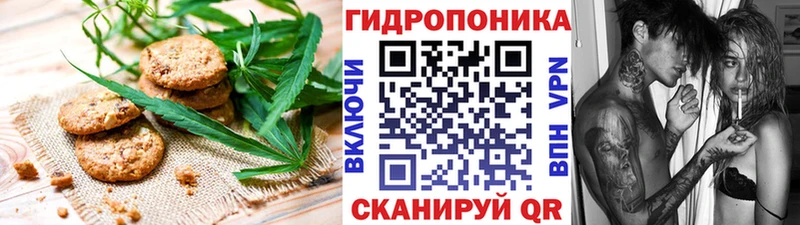 Canna-Cookies марихуана  Красково 