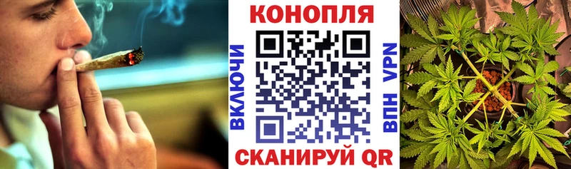 Бошки марихуана THC 21%  Красково 